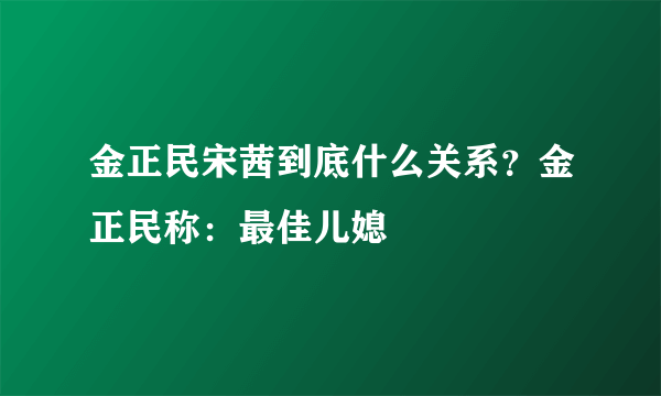 金正民宋茜到底什么关系？金正民称：最佳儿媳