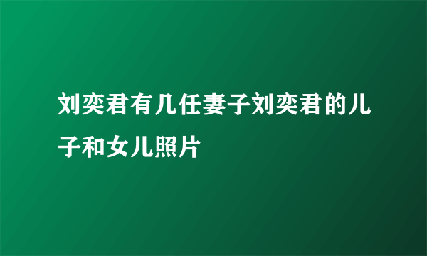 刘奕君有几任妻子刘奕君的儿子和女儿照片