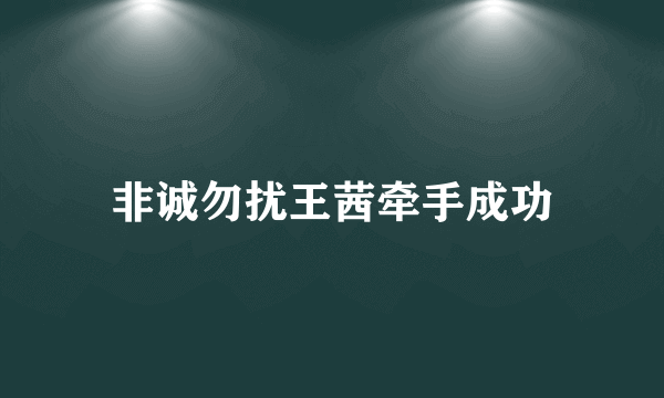 非诚勿扰王茜牵手成功