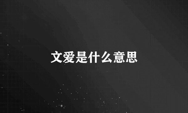 文爱是什么意思