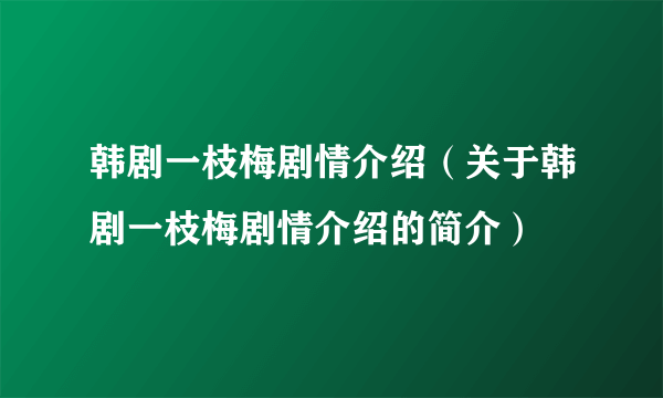 韩剧一枝梅剧情介绍（关于韩剧一枝梅剧情介绍的简介）