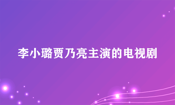 李小璐贾乃亮主演的电视剧