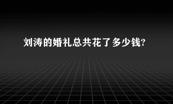 刘涛的婚礼总共花了多少钱?