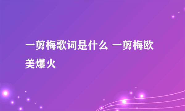 一剪梅歌词是什么 一剪梅欧美爆火