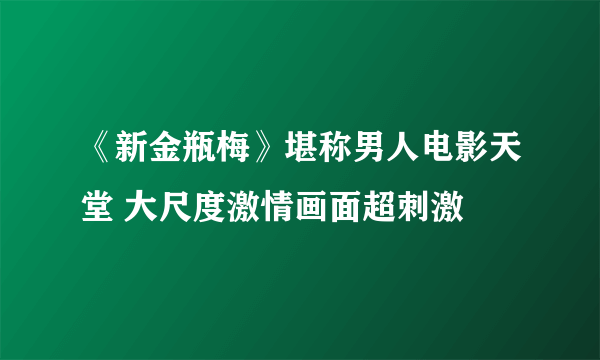 《新金瓶梅》堪称男人电影天堂 大尺度激情画面超刺激