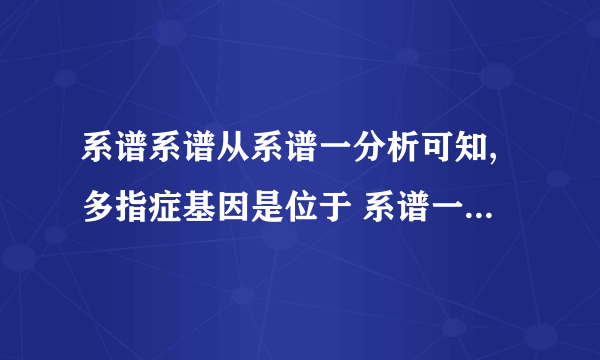 系谱系谱从系谱一分析可知,多指症基因是位于 系谱一中,若8号个体与正常女性结婚, 从系谱二分析可知,该伴性遗传病致病基因为 因来自I代中的    ,必传给其子代中的(4)系谱二中,4号个体的基因型是常异性结婚,其女儿均患病、儿子均正常。(5 )如果系谱一中的4号个体与系谱二中的 病),他们的后代中两种遗传病均不患的概率是