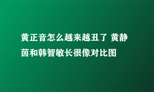 黄正音怎么越来越丑了 黄静茵和韩智敏长很像对比图