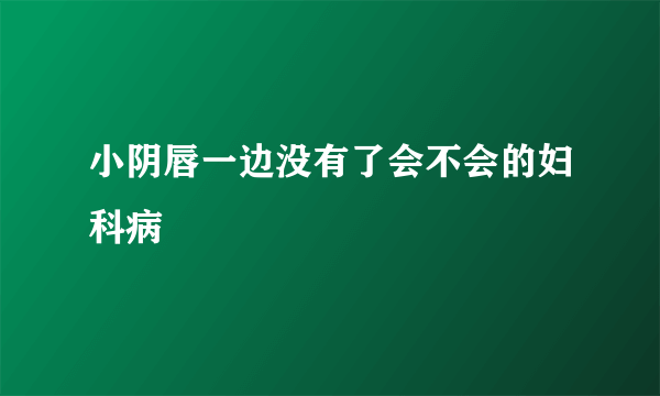 小阴唇一边没有了会不会的妇科病