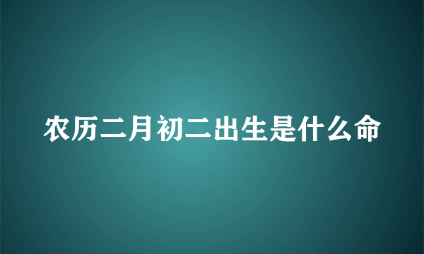 农历二月初二出生是什么命