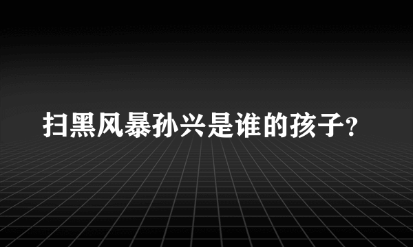 扫黑风暴孙兴是谁的孩子？