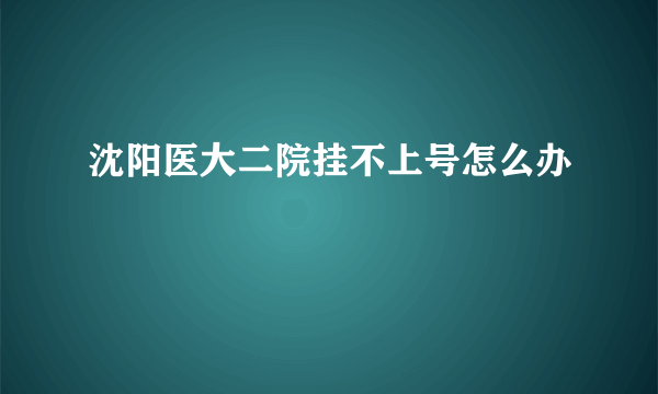 沈阳医大二院挂不上号怎么办