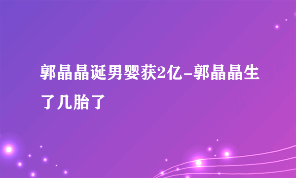 郭晶晶诞男婴获2亿-郭晶晶生了几胎了