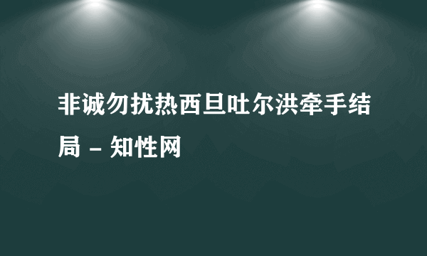 非诚勿扰热西旦吐尔洪牵手结局 - 知性网