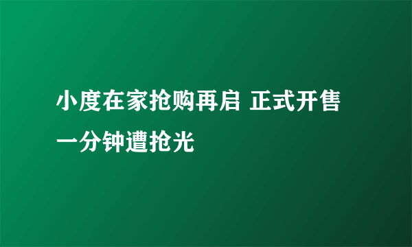 小度在家抢购再启 正式开售一分钟遭抢光