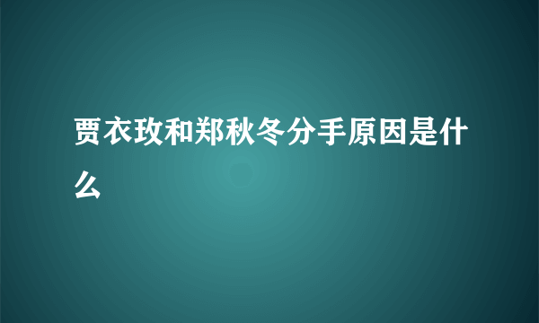 贾衣玫和郑秋冬分手原因是什么