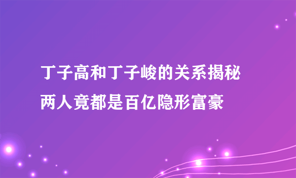 丁子高和丁子峻的关系揭秘 两人竟都是百亿隐形富豪