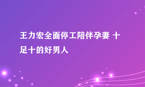 王力宏全面停工陪伴孕妻 十足十的好男人