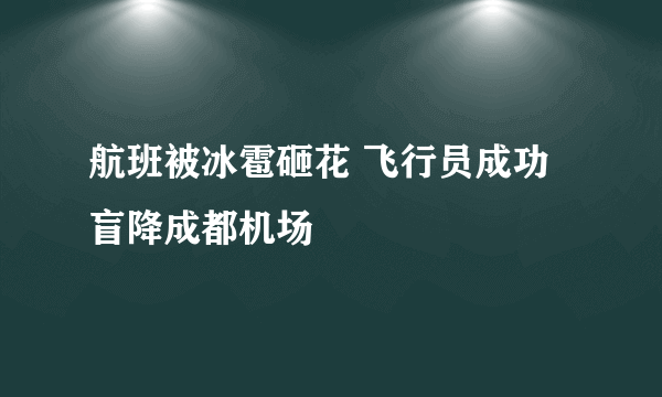 航班被冰雹砸花 飞行员成功盲降成都机场