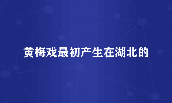 黄梅戏最初产生在湖北的