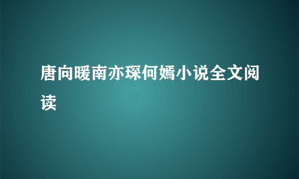 唐向暖南亦琛何嫣小说全文阅读