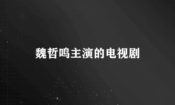 魏哲鸣主演的电视剧