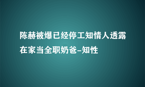 陈赫被爆已经停工知情人透露在家当全职奶爸-知性