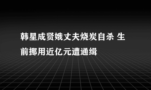 韩星成贤娥丈夫烧炭自杀 生前挪用近亿元遭通缉