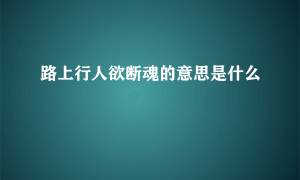 路上行人欲断魂的意思是什么