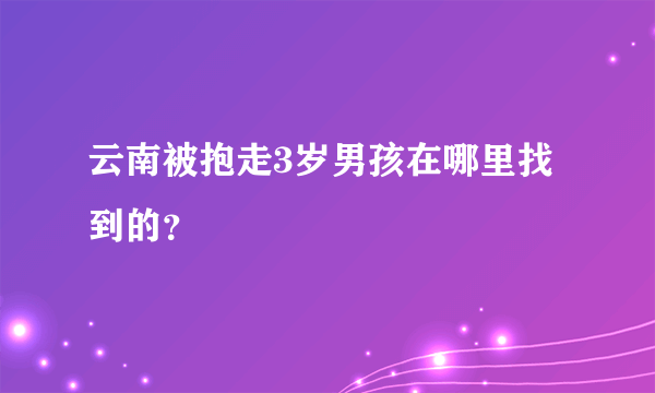 云南被抱走3岁男孩在哪里找到的？