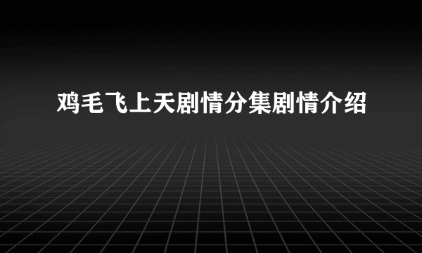 鸡毛飞上天剧情分集剧情介绍