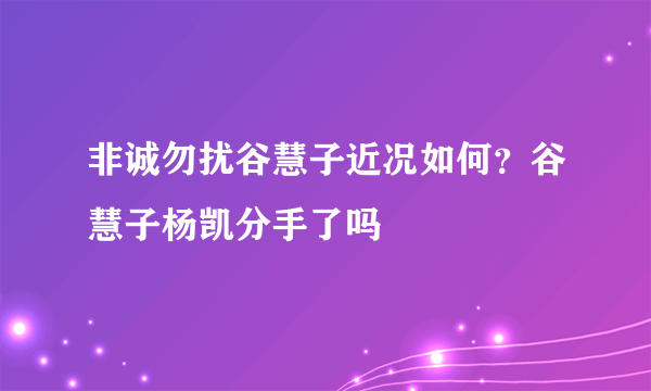 非诚勿扰谷慧子近况如何？谷慧子杨凯分手了吗