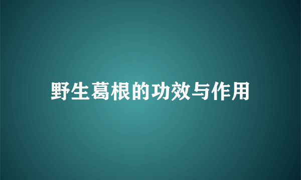 野生葛根的功效与作用