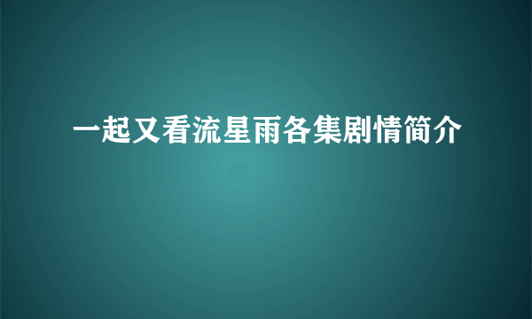 一起又看流星雨各集剧情简介