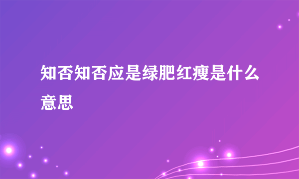 知否知否应是绿肥红瘦是什么意思