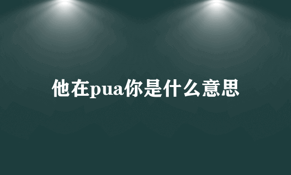 他在pua你是什么意思