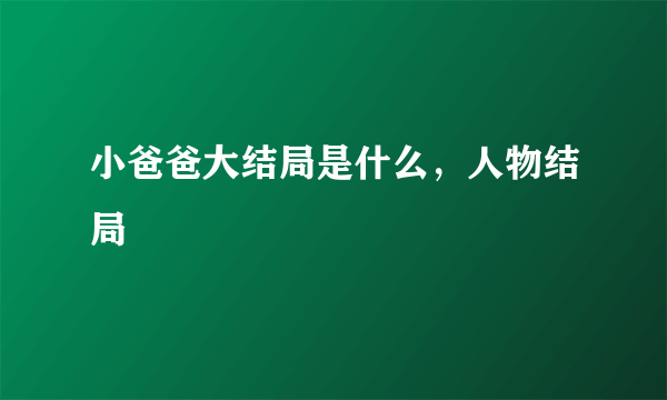 小爸爸大结局是什么，人物结局