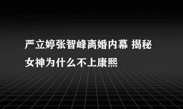 严立婷张智峰离婚内幕 揭秘女神为什么不上康熙