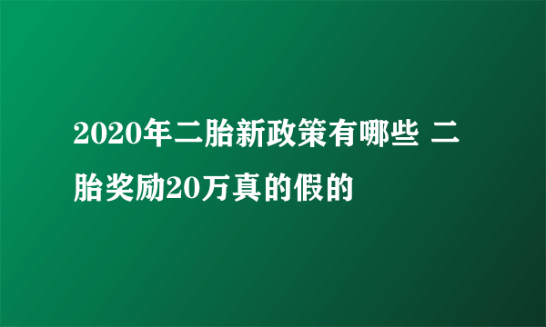 2020年二胎新政策有哪些 二胎奖励20万真的假的