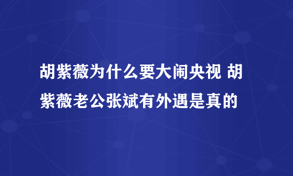 胡紫薇为什么要大闹央视 胡紫薇老公张斌有外遇是真的