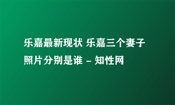 乐嘉最新现状 乐嘉三个妻子照片分别是谁 - 知性网