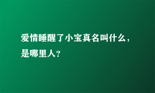 爱情睡醒了小宝真名叫什么，是哪里人？