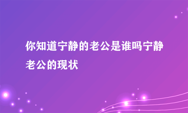 你知道宁静的老公是谁吗宁静老公的现状