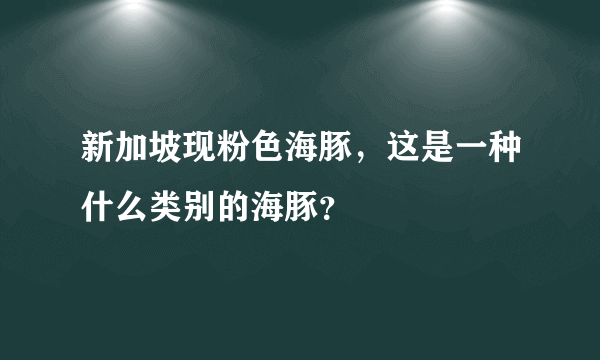 新加坡现粉色海豚，这是一种什么类别的海豚？