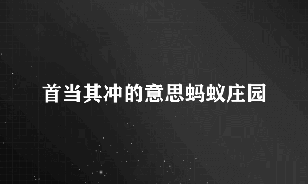 首当其冲的意思蚂蚁庄园