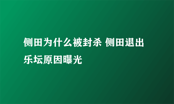 侧田为什么被封杀 侧田退出乐坛原因曝光