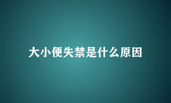 大小便失禁是什么原因