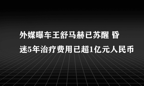 外媒曝车王舒马赫已苏醒 昏迷5年治疗费用已超1亿元人民币