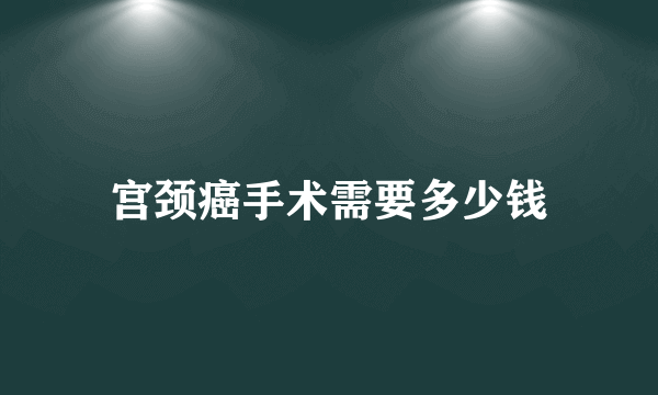 宫颈癌手术需要多少钱