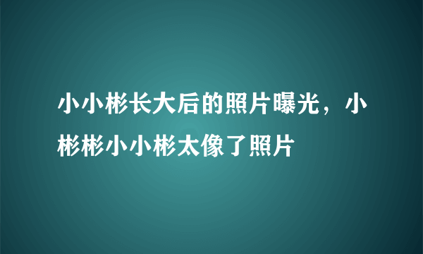 小小彬长大后的照片曝光，小彬彬小小彬太像了照片