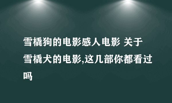 雪橇狗的电影感人电影 关于雪橇犬的电影,这几部你都看过吗